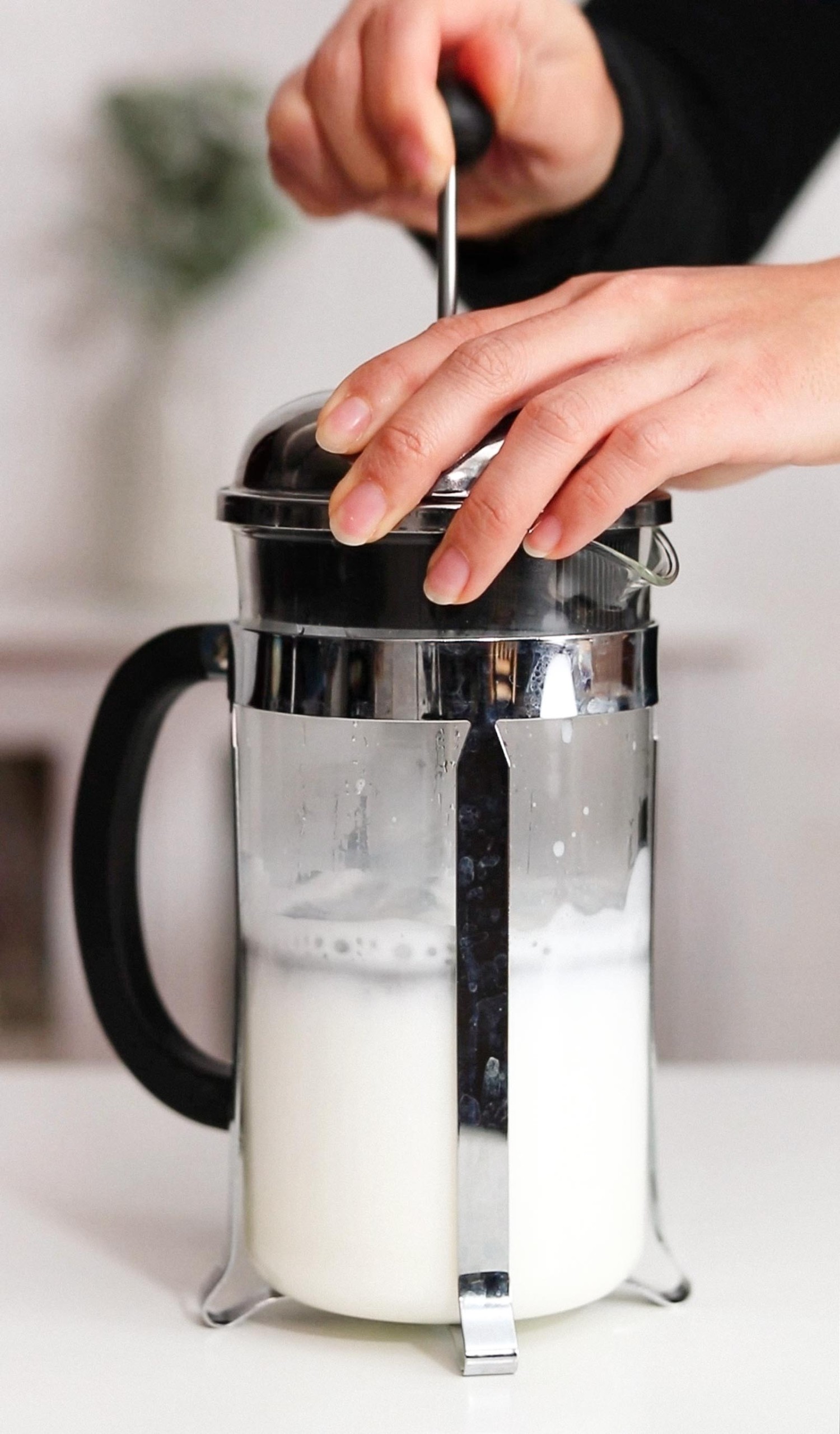 How to Make Milk Foam with a French Press or Milk Frother for